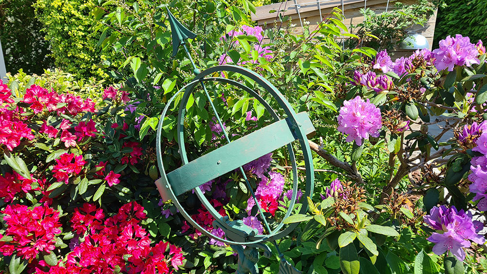 2021-06-06 14.10.56.jpg